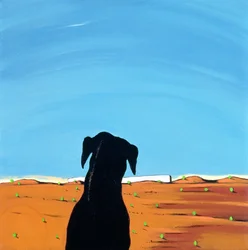Black Dog in Chestertown